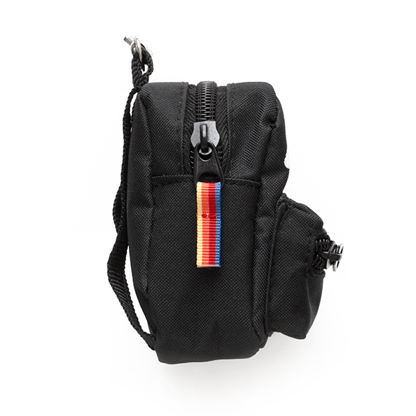 Annual Pass Logo Mini Backpack Keychain
